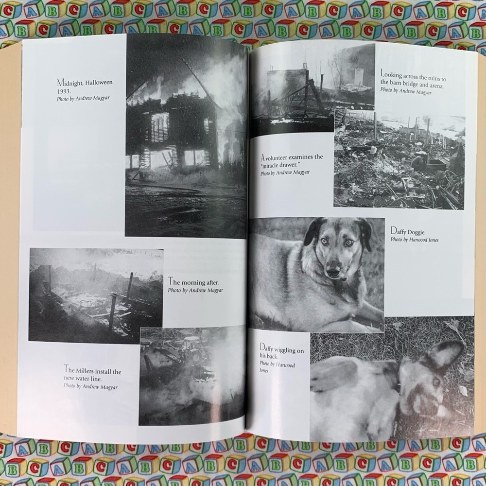 Animal Information Interactive Learning Book Set. - Picture 16 of 16